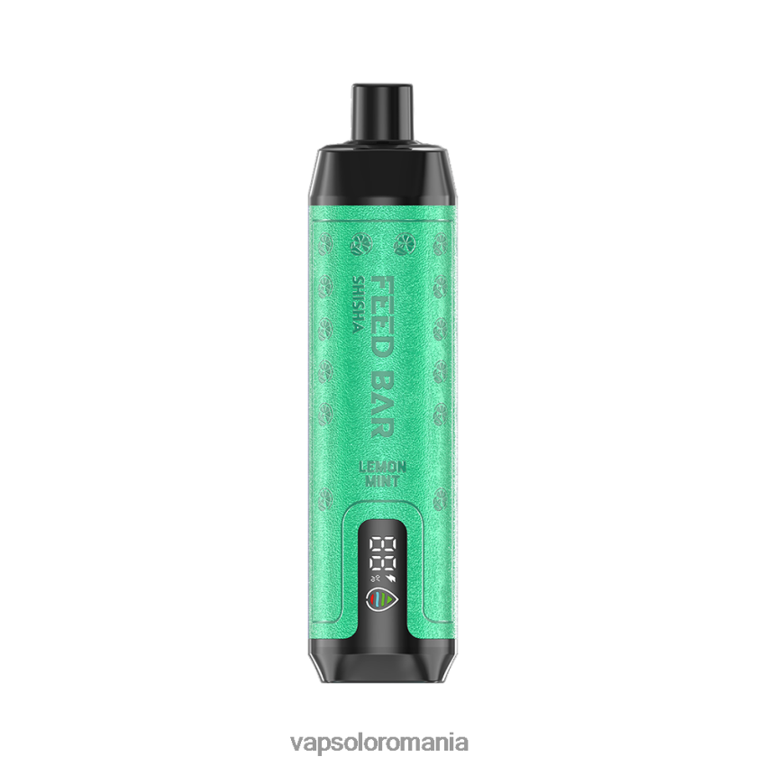 VapSolo Flavours - VapSolo SHISHA vapa de unică folosință Z20RBX7 menta de lamaie
