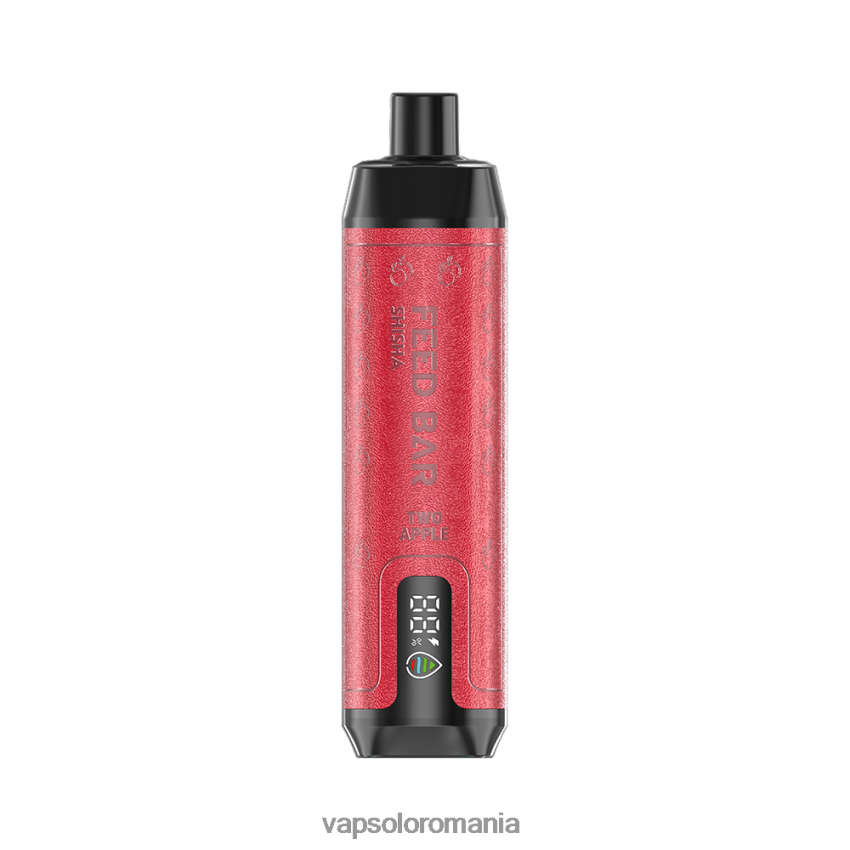 VapSolo Puffs - VapSolo SHISHA vapa de unică folosință Z20RBX12 doi mere