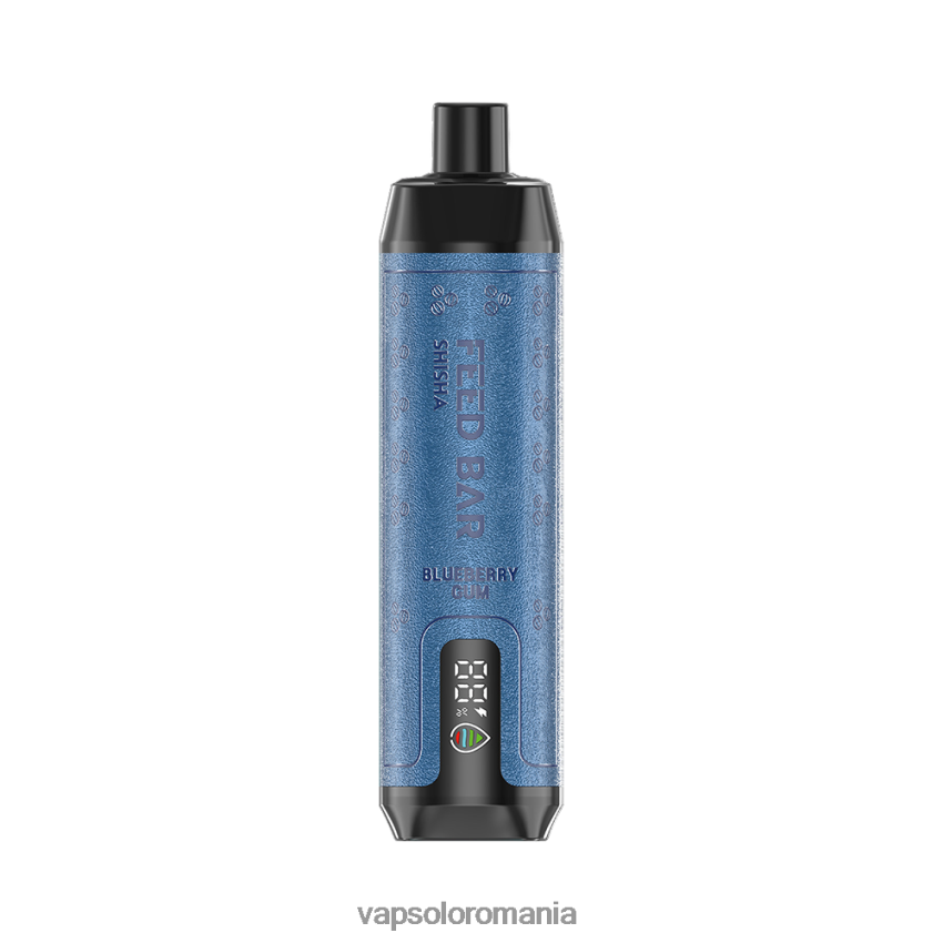 VapSolo Puffs - VapSolo SHISHA vapa de unică folosință Z20RBX4 gumă de afine