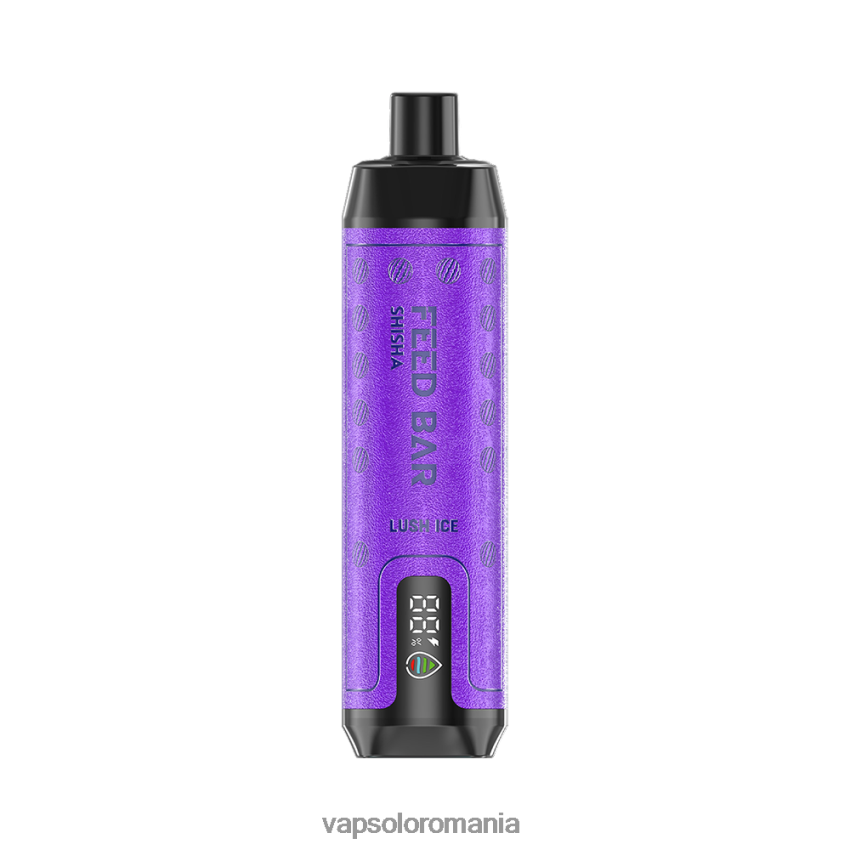 VapSolo Puffs - VapSolo SHISHA vapa de unică folosință Z20RBX8 gheață luxuriantă
