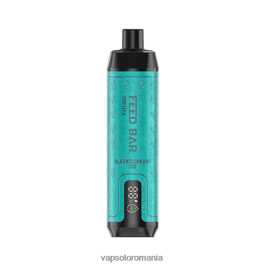 VapSolo Review - VapSolo SHISHA vapa de unică folosință Z20RBX2 gheață de coacăze negre