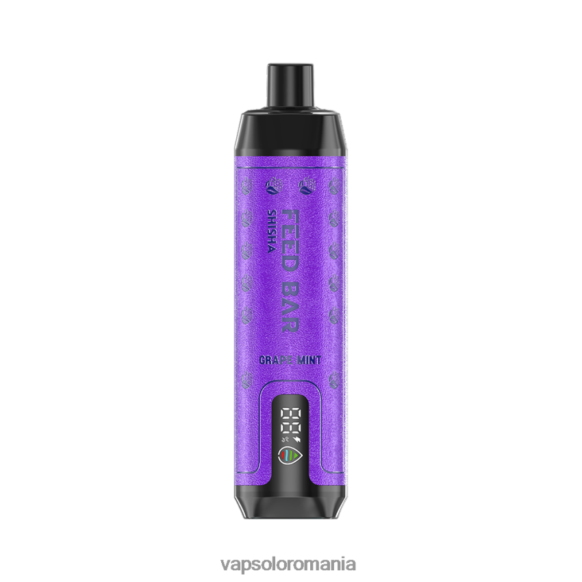 VapSolo Review - VapSolo SHISHA vapa de unică folosință Z20RBX6 menta de struguri
