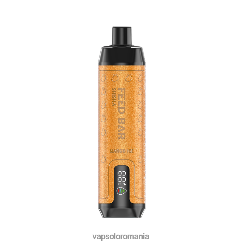 VapSolo Romania - VapSolo SHISHA vapa de unică folosință Z20RBX9 gheata de mango